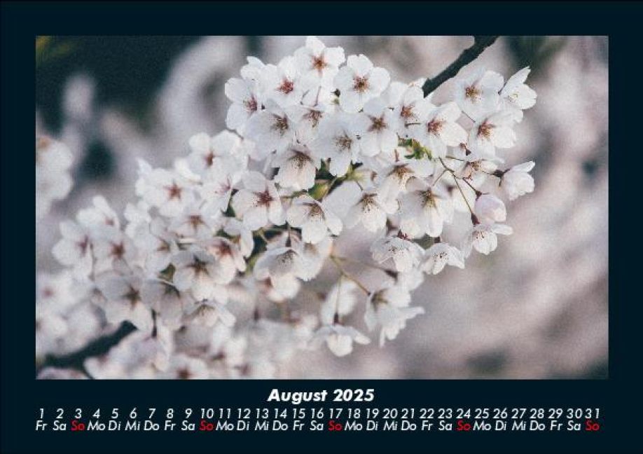 additionalImage12