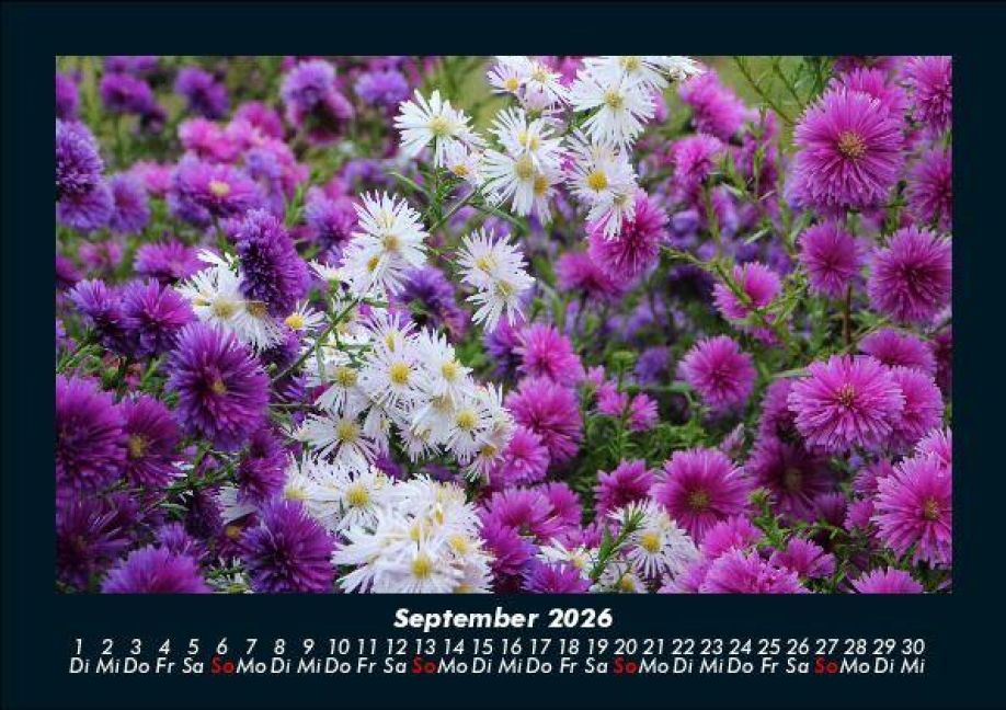 additionalImage1