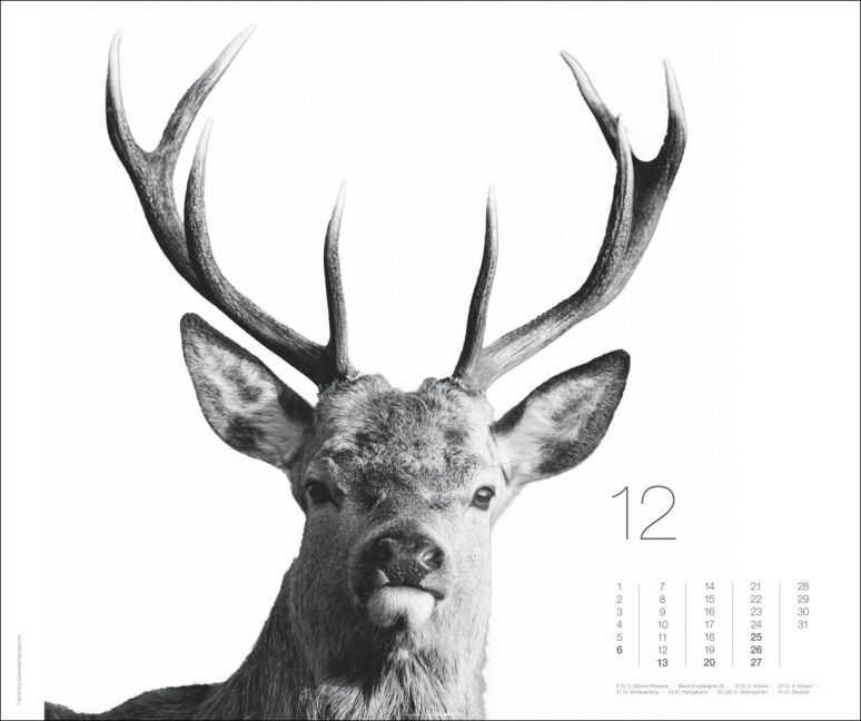 additionalImage12