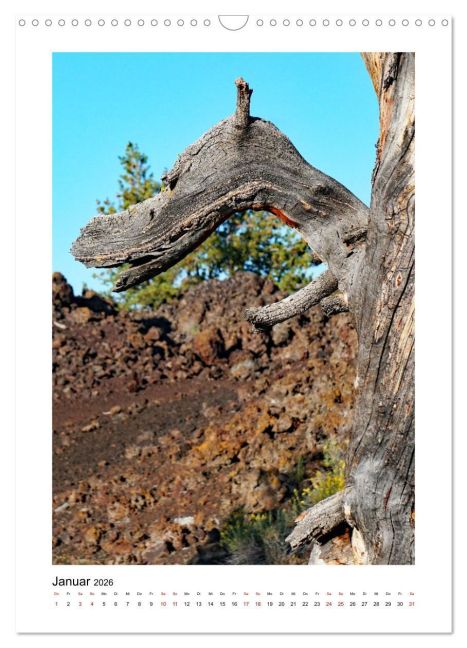 additionalImage6