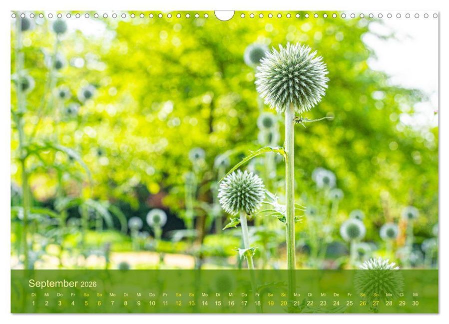 additionalImage14