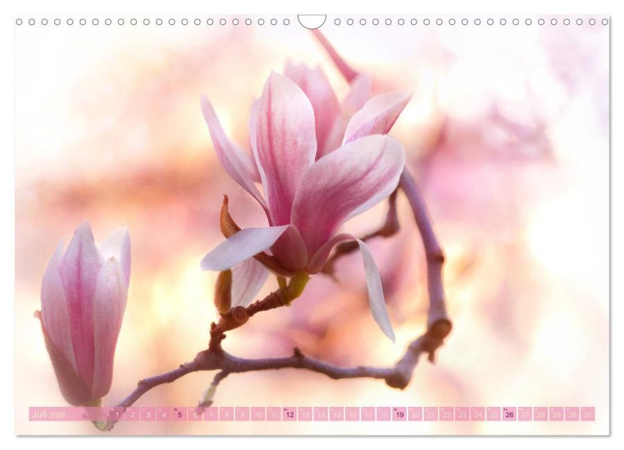 additionalImage12
