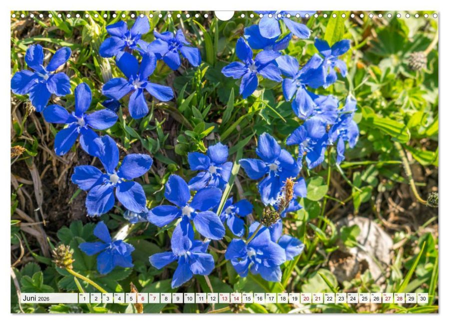 additionalImage11
