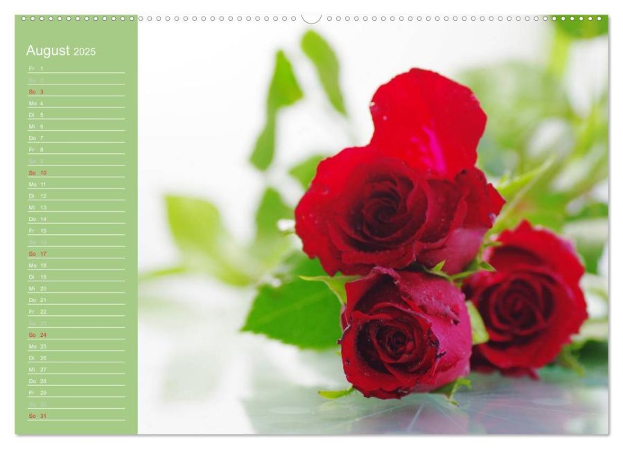 additionalImage12