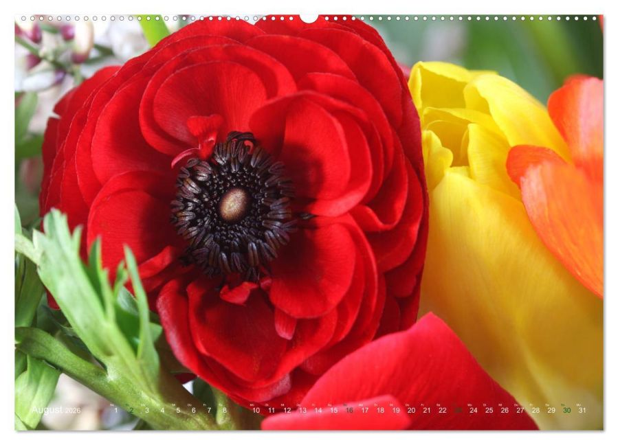 additionalImage13