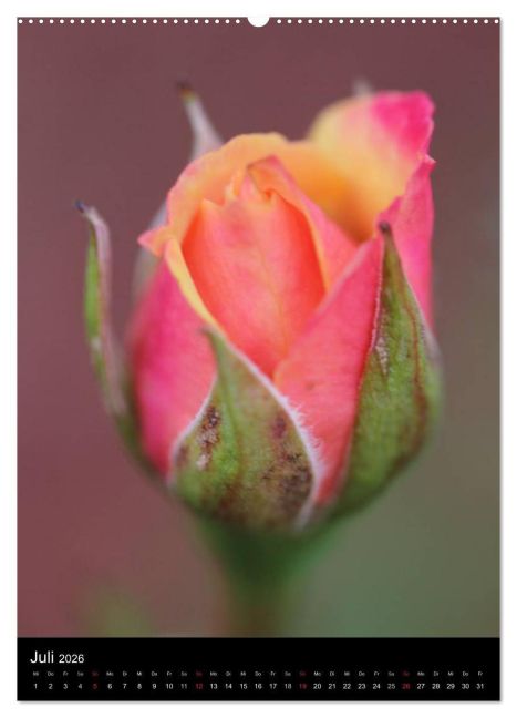 additionalImage11