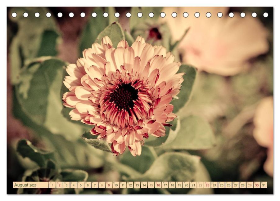 additionalImage13