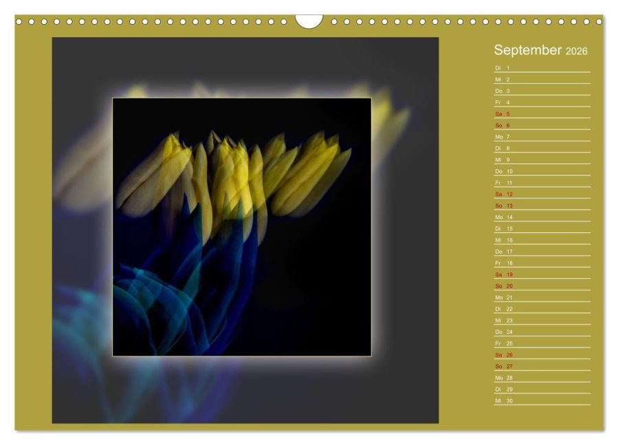 additionalImage14