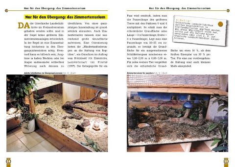additionalImage1