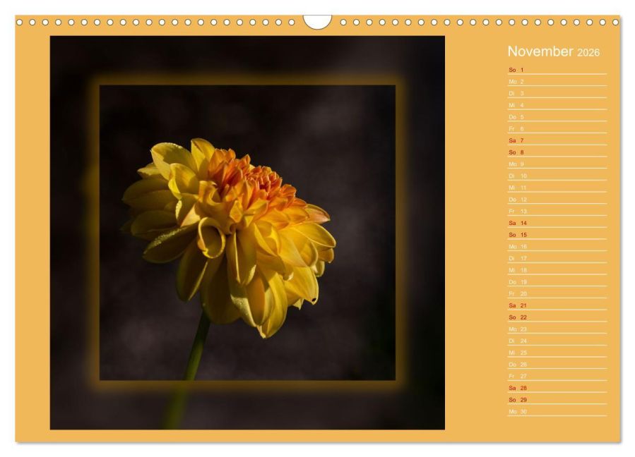 additionalImage3