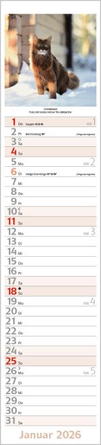 additionalImage1