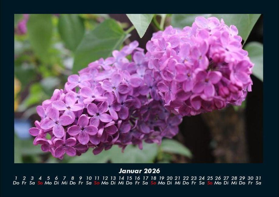 additionalImage5