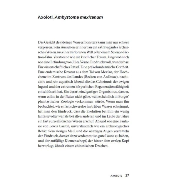 additionalImage4
