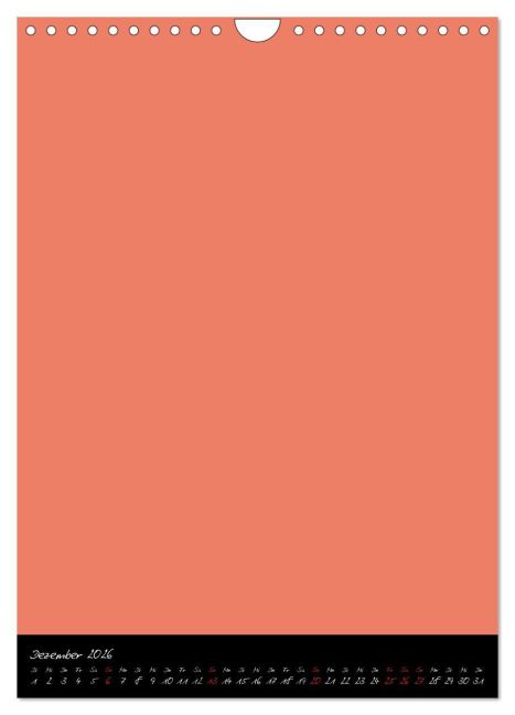 additionalImage4