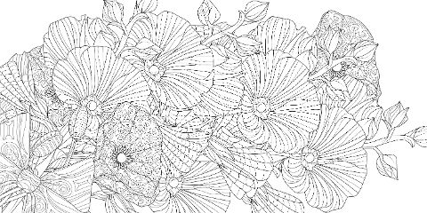 additionalImage1