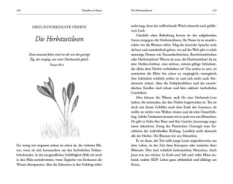 additionalImage6