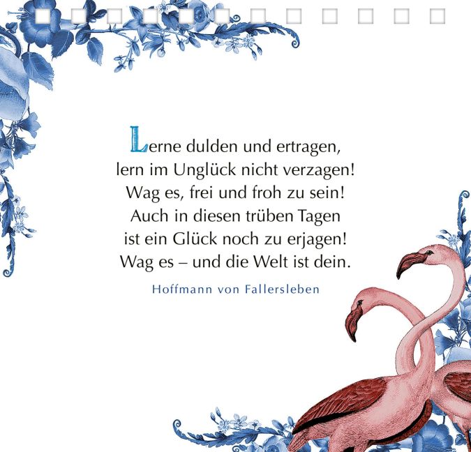 additionalImage3
