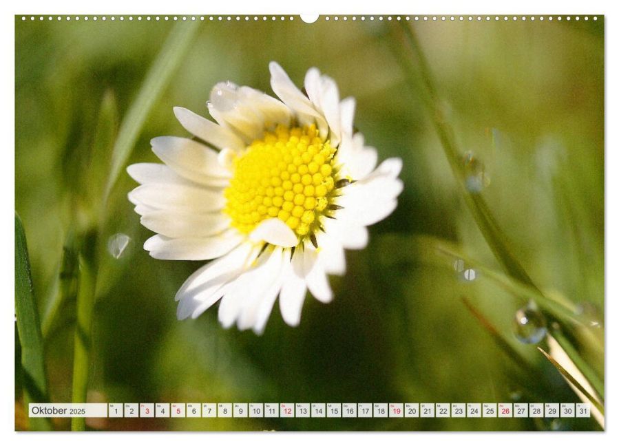 additionalImage2