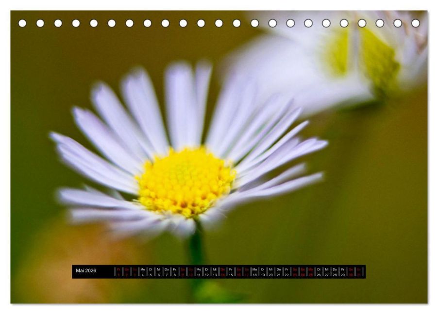 additionalImage10