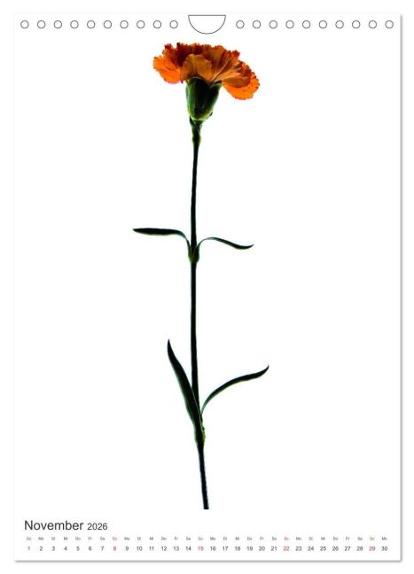 additionalImage3