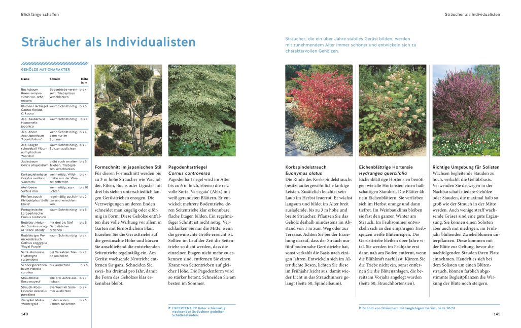 additionalImage6