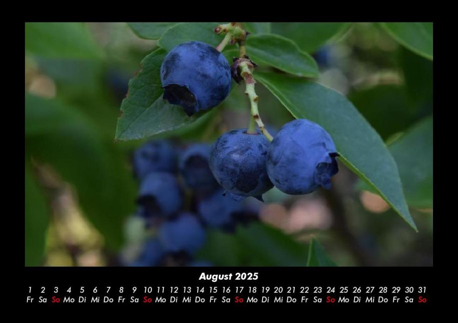 additionalImage12