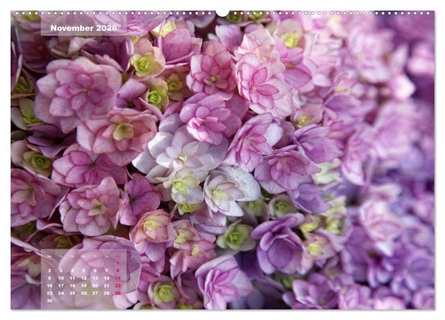 additionalImage2