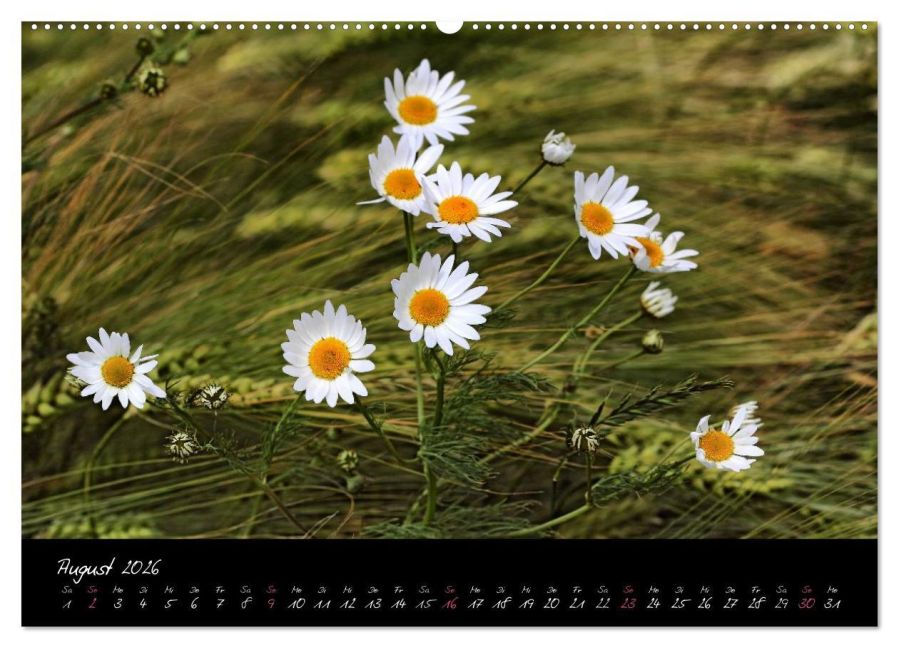 additionalImage12