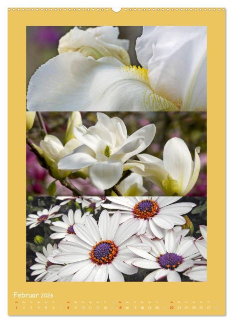 additionalImage6