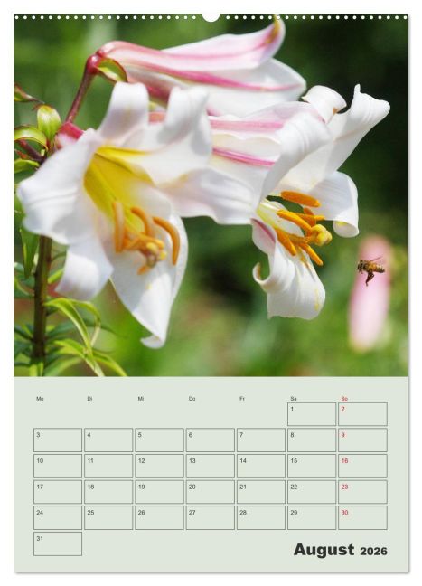 additionalImage12
