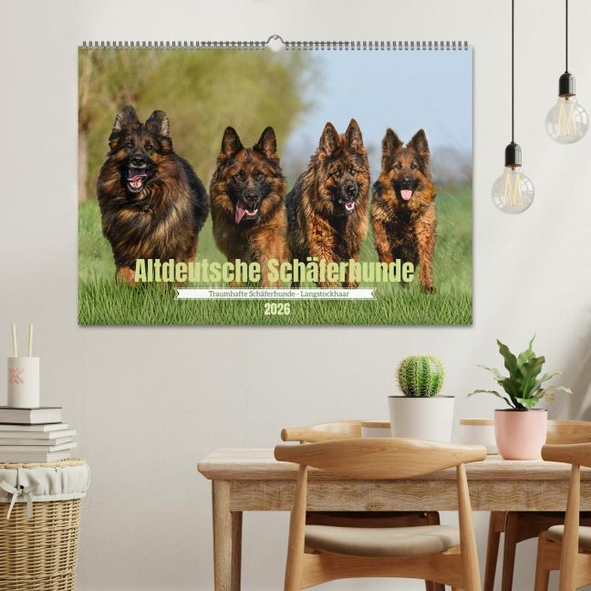additionalImage1