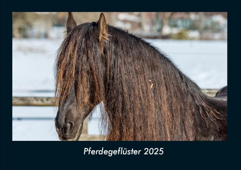 Pferdegeflüster 2025 Fotokalender DIN A4 - Tobias Becker