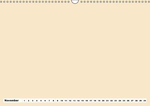 additionalImage11
