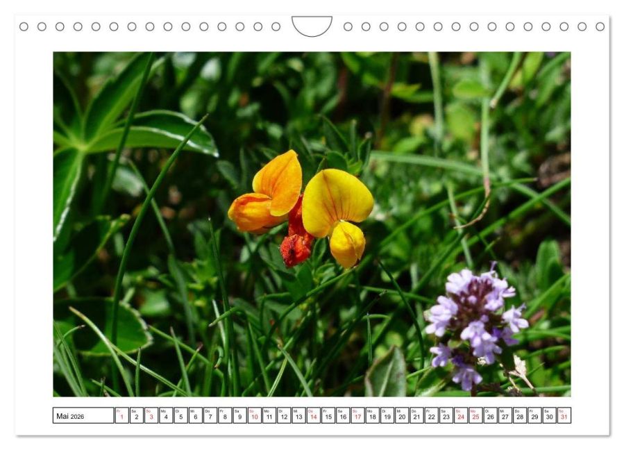 additionalImage10