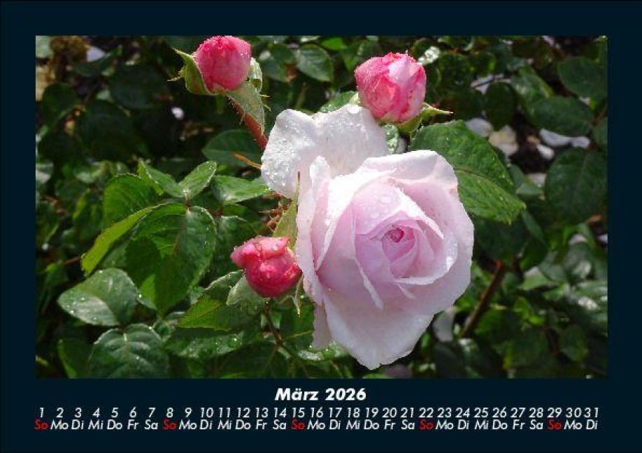 additionalImage7