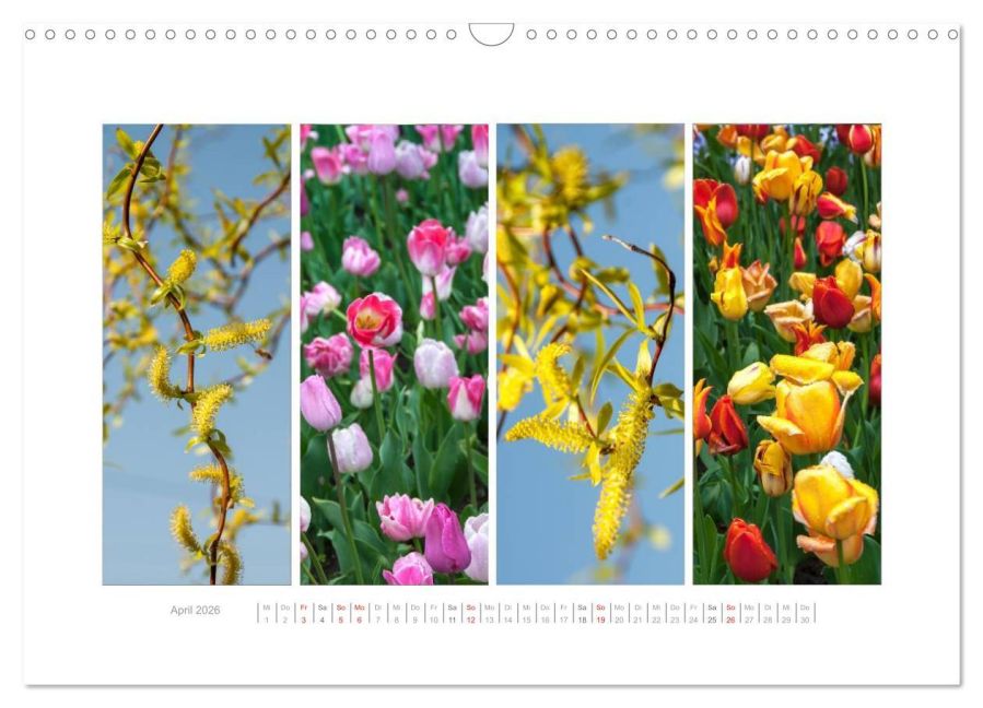 additionalImage9