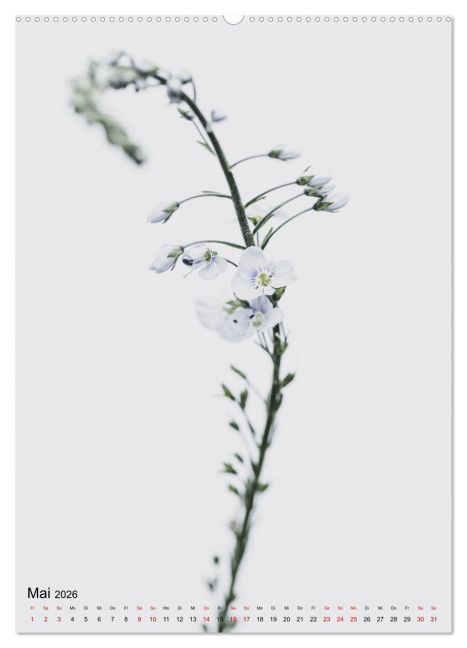 additionalImage9