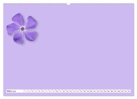 additionalImage7