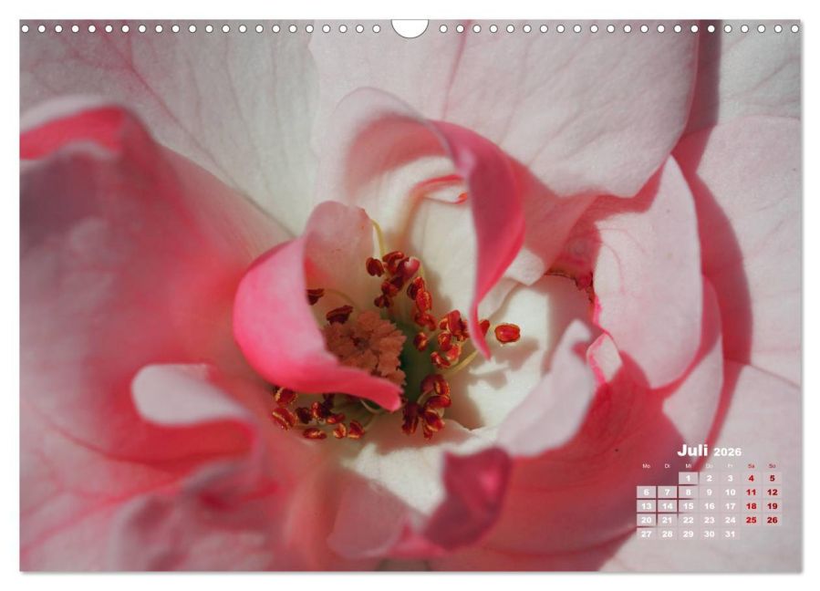 additionalImage12
