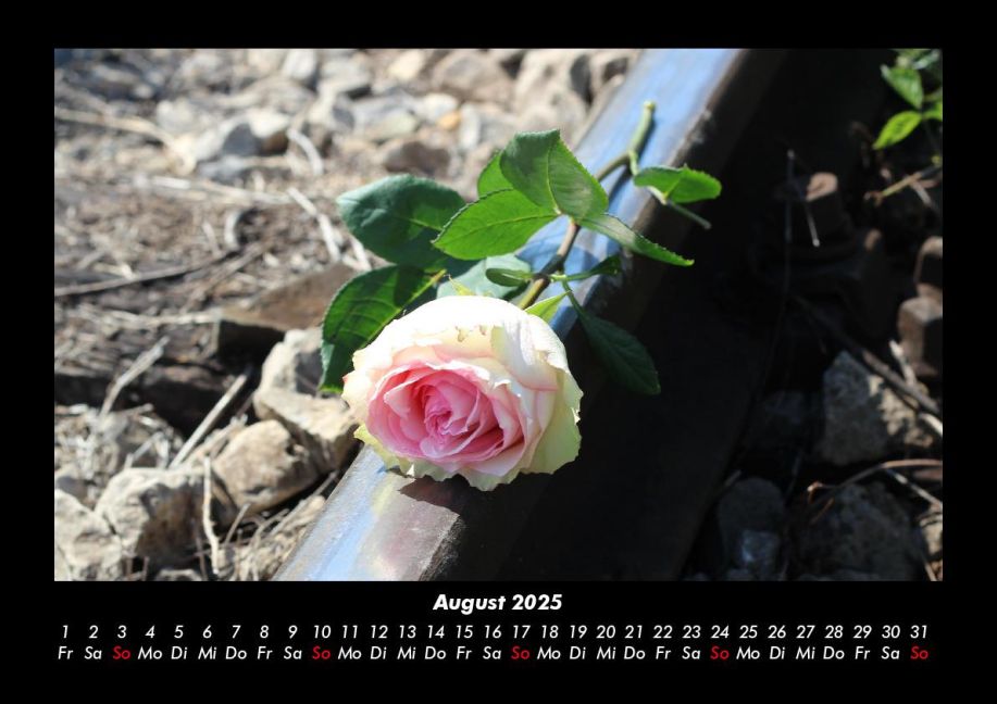 additionalImage12