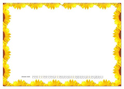 additionalImage2