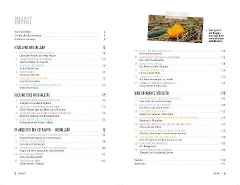 additionalImage2