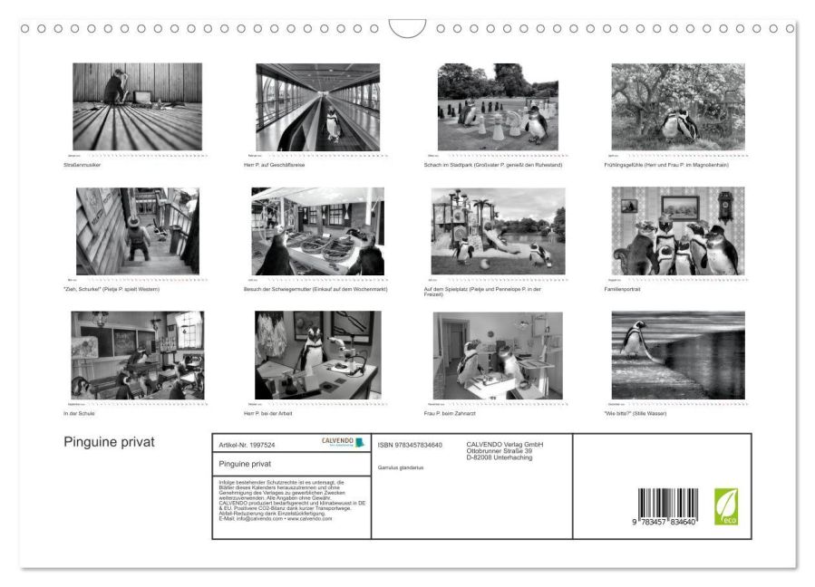 additionalImage5
