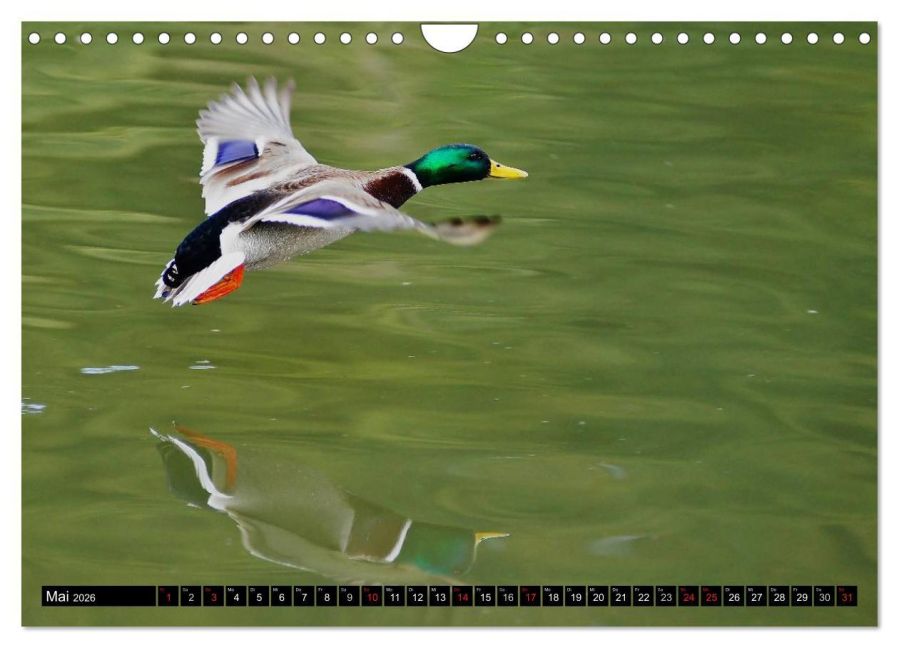 additionalImage10