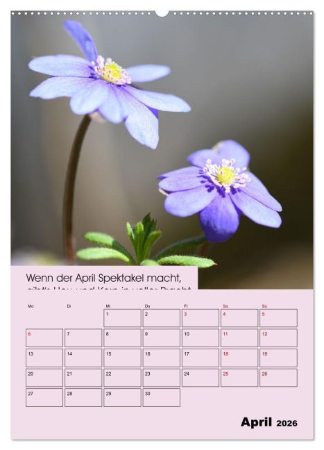 additionalImage9
