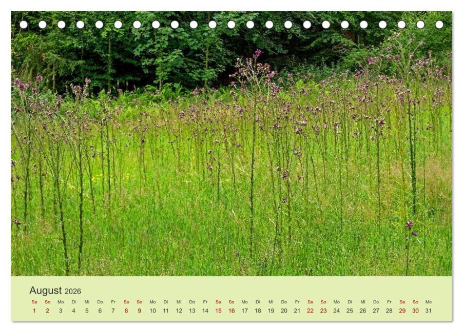 additionalImage13