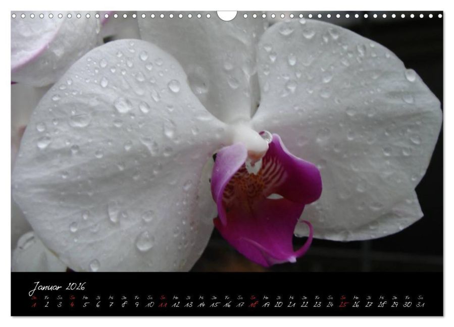 additionalImage6