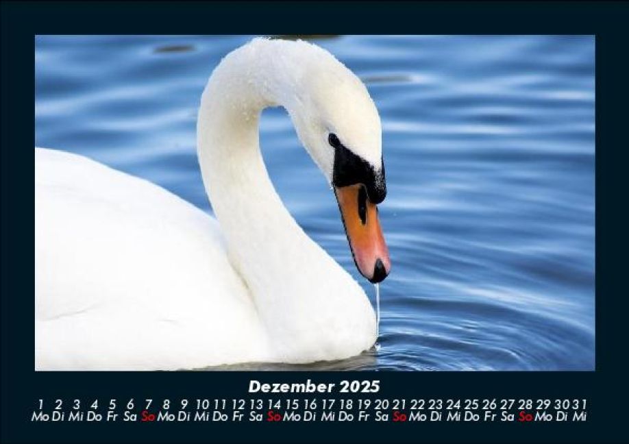 additionalImage4