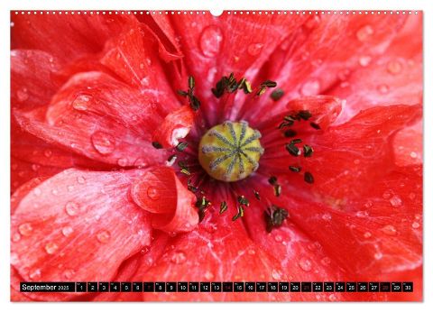 additionalImage13