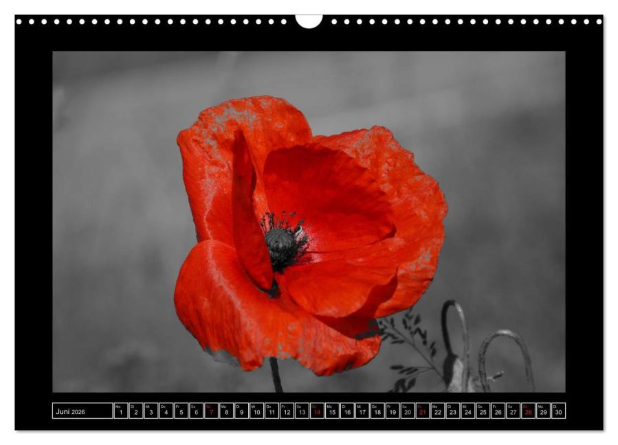 additionalImage11